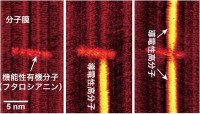 導電性高分子